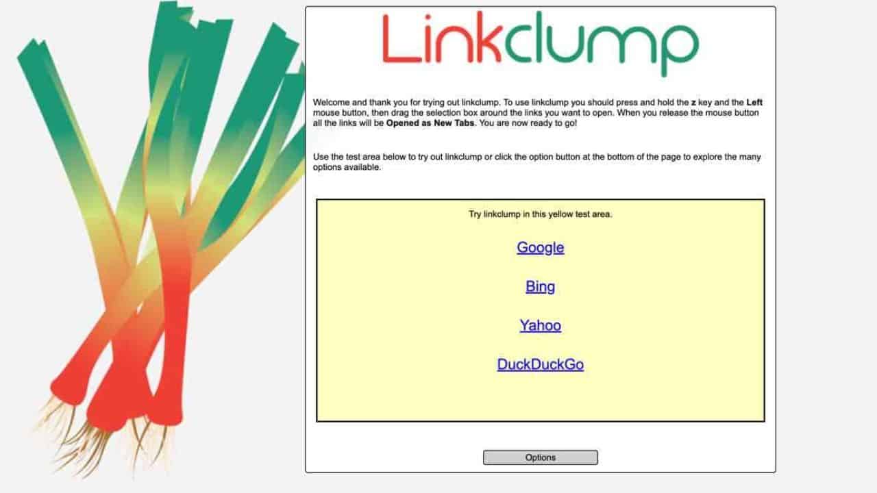 A screenshot of the Linkclump Chrome extension in action, showcasing how it simplifies browsing by allowing users to select and open multiple links at once. The image highlights the extension's customizable selection mechanism, delay settings, and filter options.